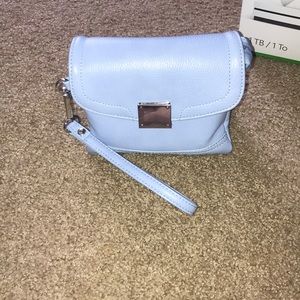 Charming Charlie Clutch